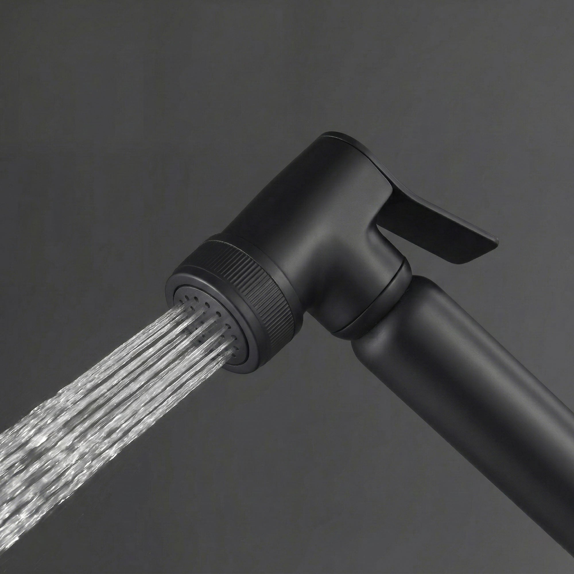 Design WC/Bidet Handbrause SOHO Komplettset mit Absperrventil in Schwarz Matt