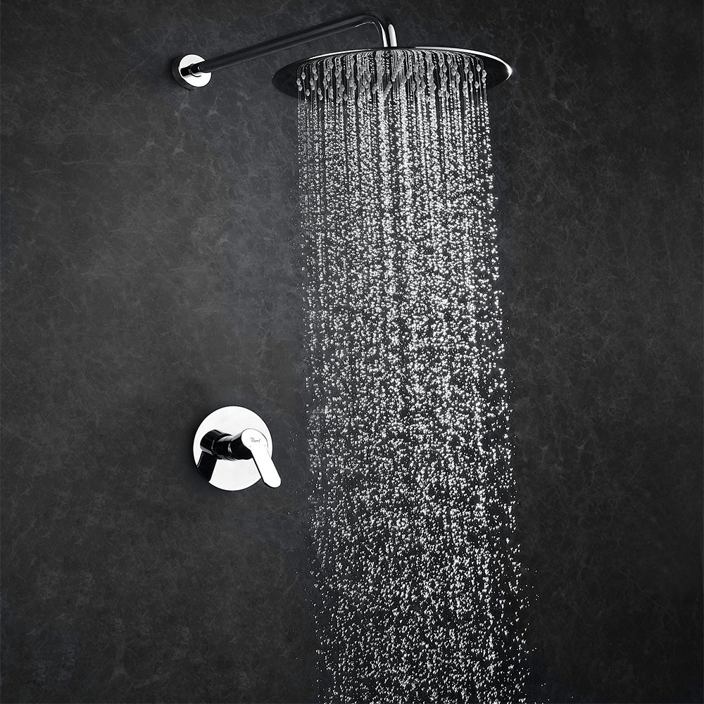 Douche de pluie ronde en acier inoxydable haut de gamme 40 cm, construction massive